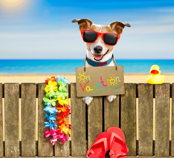 Pet-Friendly Vacation Rental
